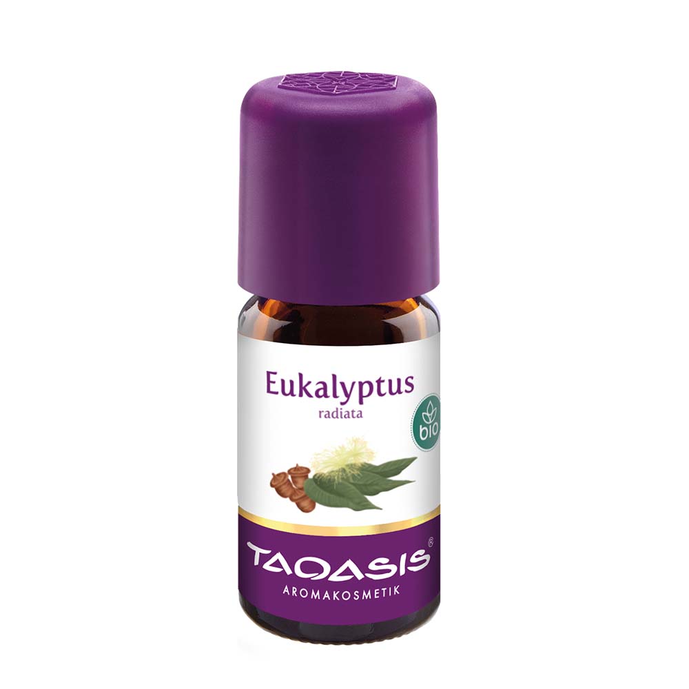 Eukaliptus, 5 ml BIO, Eucalyptus radiata dla dzieci - Australia, olejek eteryczny - Taoasis